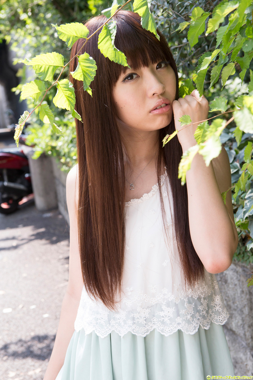 [DGC] 2013年11月号 No.1128 Miyu Yanome 矢野目美有